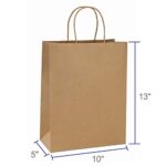 BagDream Gift Bags 10x5x13 50Pcs Brown Kraft Paper Bags Paper Gift Bags with Handles, Merchandise Bags, Retail Bags, Party Favor Bags, Shopping Bags Bulk 100% Recycled Paper Bags Sacks