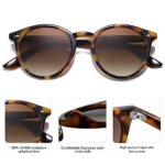 SOJOS Retro Round Polarized Sunglasses for Women Men Classic Vintage Sunnies SJ2069, Amber Tortoise/Brown