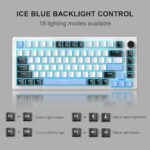 MageGee 75% Mechanical Gaming Keyboard, Compact Blue Backlit Wired Gaming Keyboard with Brown Switches, EVA Foam, Knob Control, STAR75 Portable NKRO PC Gaming Keyboard – White & Blue